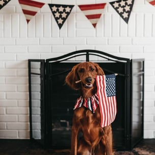Celebrate Independence Day in the US - photo by Camylla Battani via Unsplash