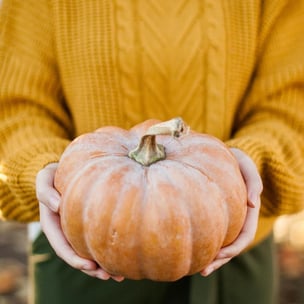 celebrate national pumpkin day - photo by kate hliznitsova via unsplash