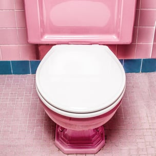 celebrate world toilet day - Curology via Unsplash